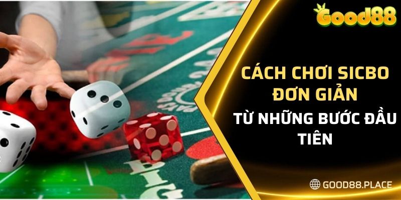 Cách chơi sicbo đơn giản ngay từ những bước đầu tiên