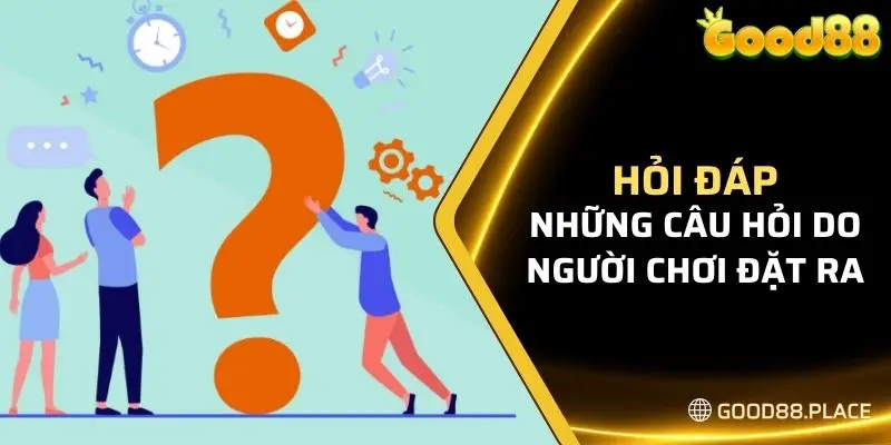 Hỏi đáp chính xác về những câu hỏi do người chơi đặt ra